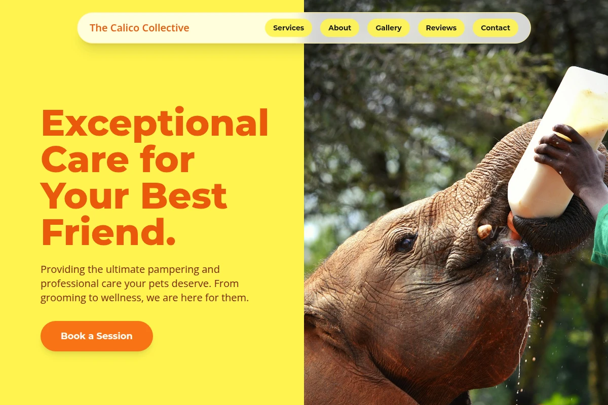 Tail Animal Care