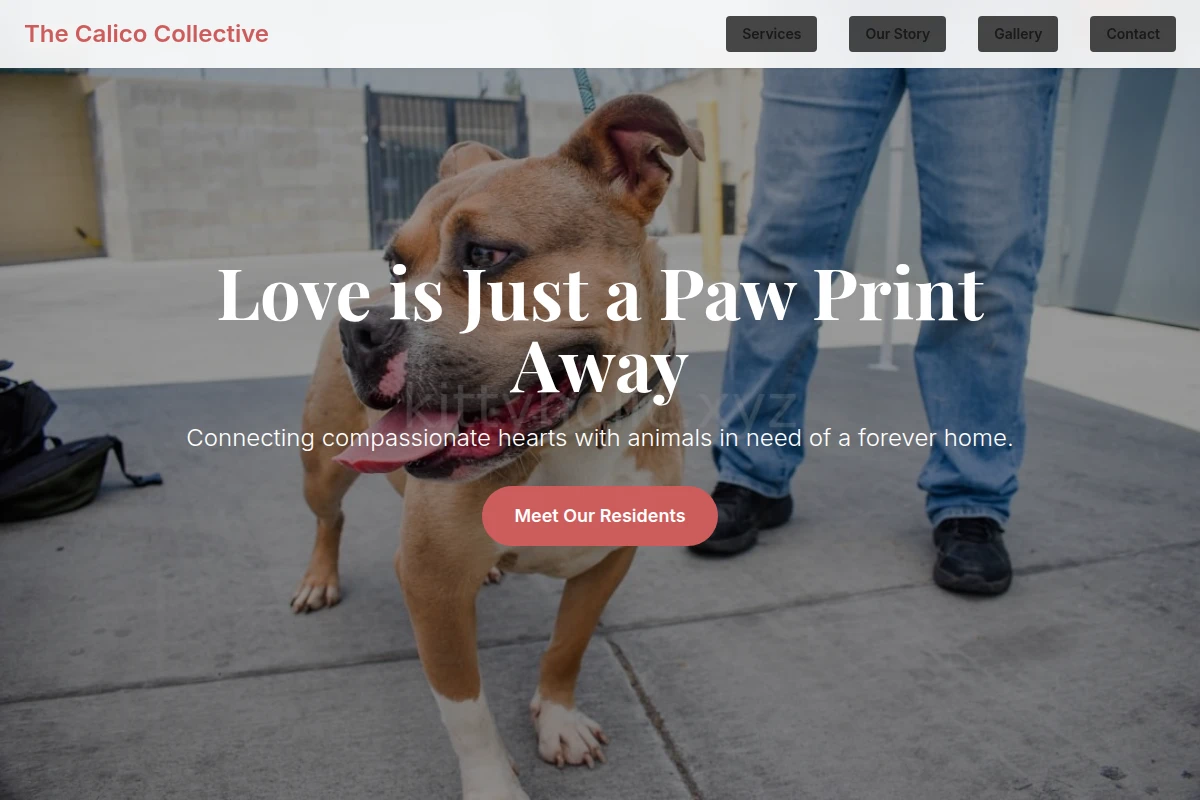 Playful Animal Shelter