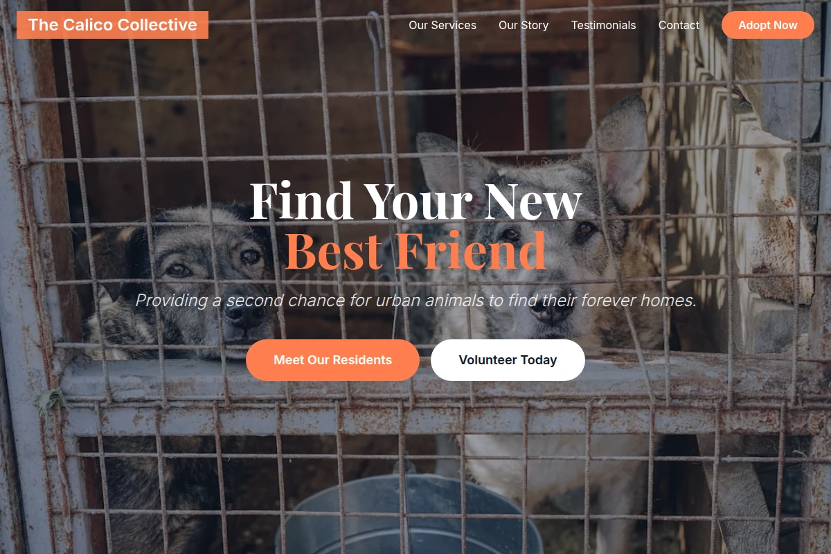Urban Animal Shelter