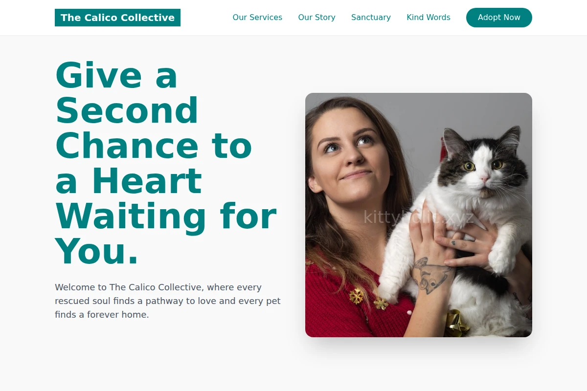 animal-shelter